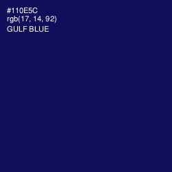 #110E5C - Gulf Blue Color Image